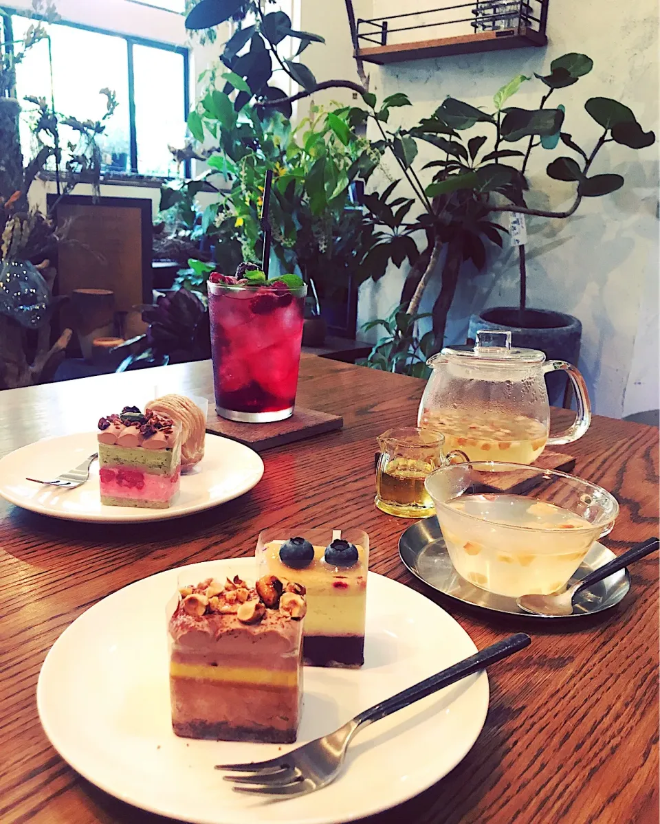 Botanical Café🧁☕️🌿|leeさん