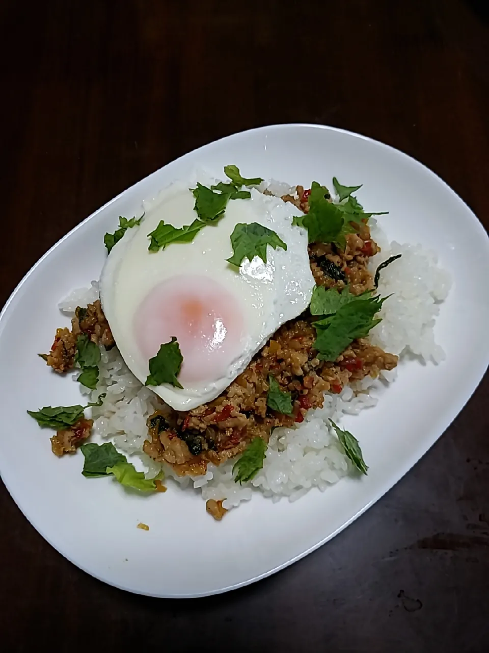 8月4日の晩ごはん|かずみさん