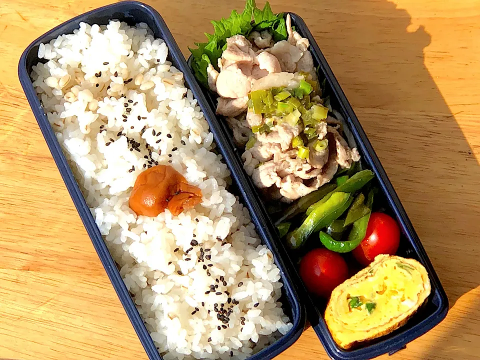 レモンでさっぱり 豚の葱塩ダレ 弁当|弁当 備忘録さん