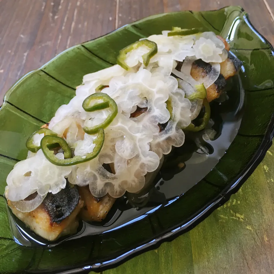 盛夏の候 白ゴーヤの鯖南蛮青柚子風味🍃|七海さん