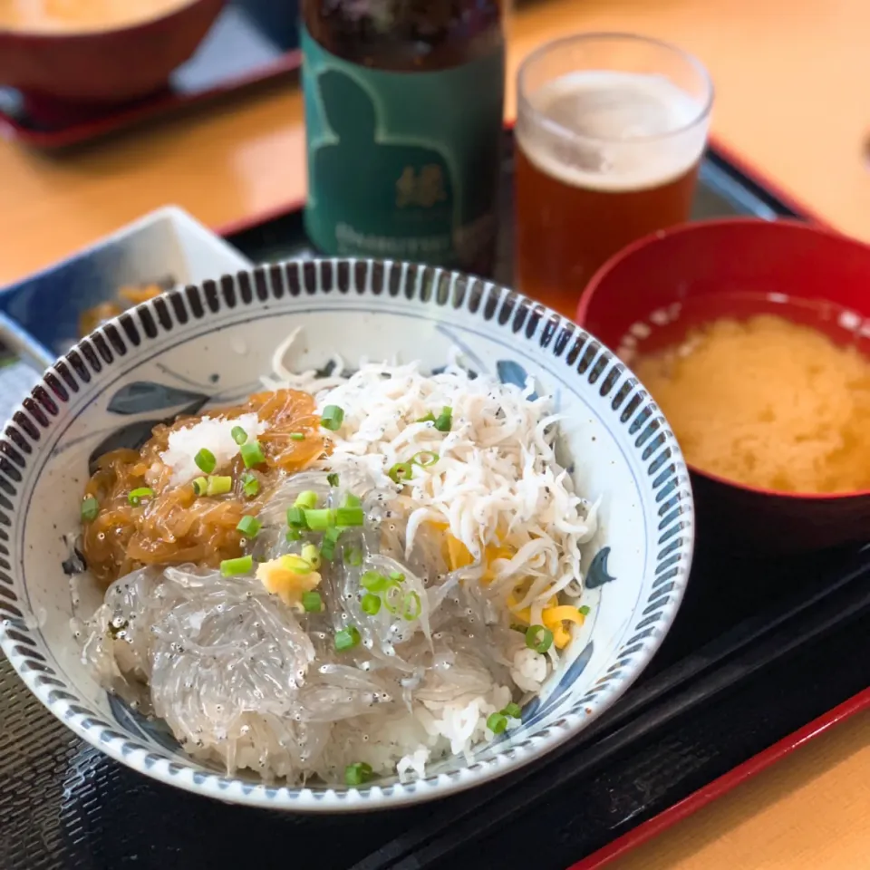 Snapdishの料理写真:湘南しらす三色丼（生しらす、しらすの醤油漬、釜揚げしらす）と鎌倉大仏ビール|恭子さん