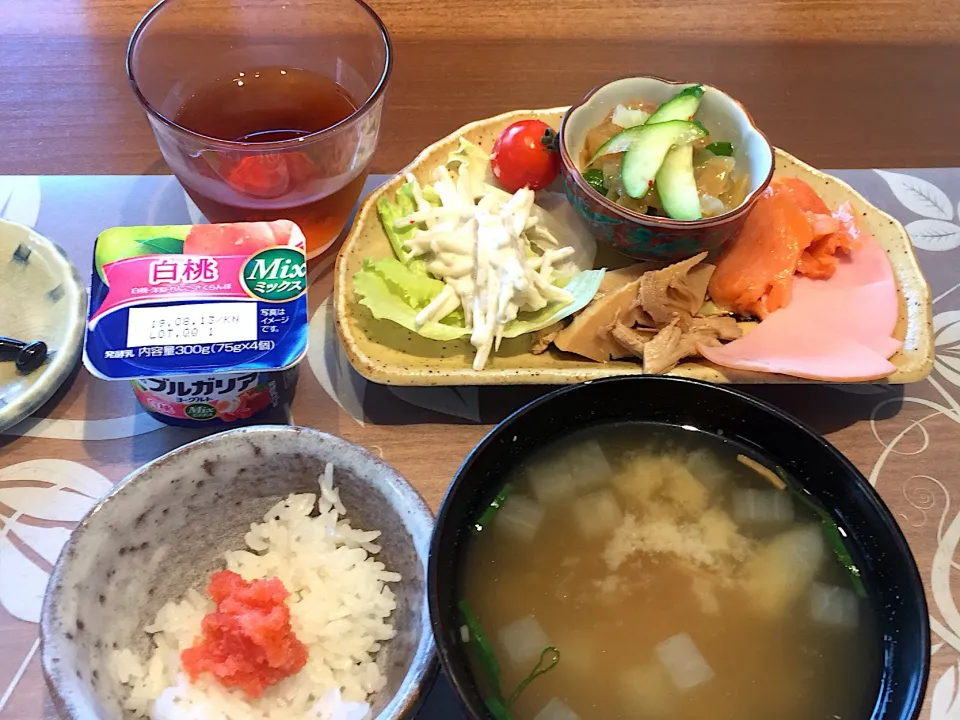 朝ごはん
トラウトサーモン、ロースハム、たけのこと鳥胸肉の煮物、ごぼうサラダ、クラゲきゅうり、白米、辛子明太子、豚汁、フルーツ入りヨーグルト、ルイボスティー|かよちゃんさん