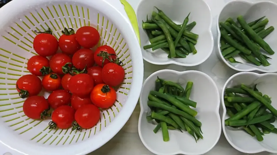 トマト🍅と茹でたいんげん|しまだ ちえこさん