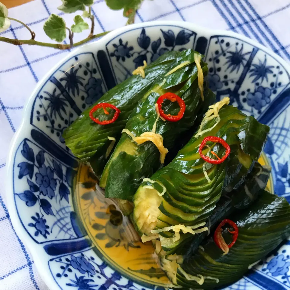 Snapdishの料理写真:🥒幼少期 カッパ大臣と呼ばれた私の 大好物🥒蛇腹きゅうりの お漬物🍚🥢|Hollyさん