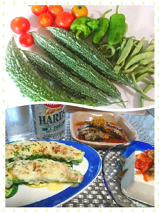 家庭菜園で採れた野菜達✨
ゴーヤのグラタン
イワシの煮付け🐟
冷奴キムチ・ザーサイのせ🍻|bisenさん