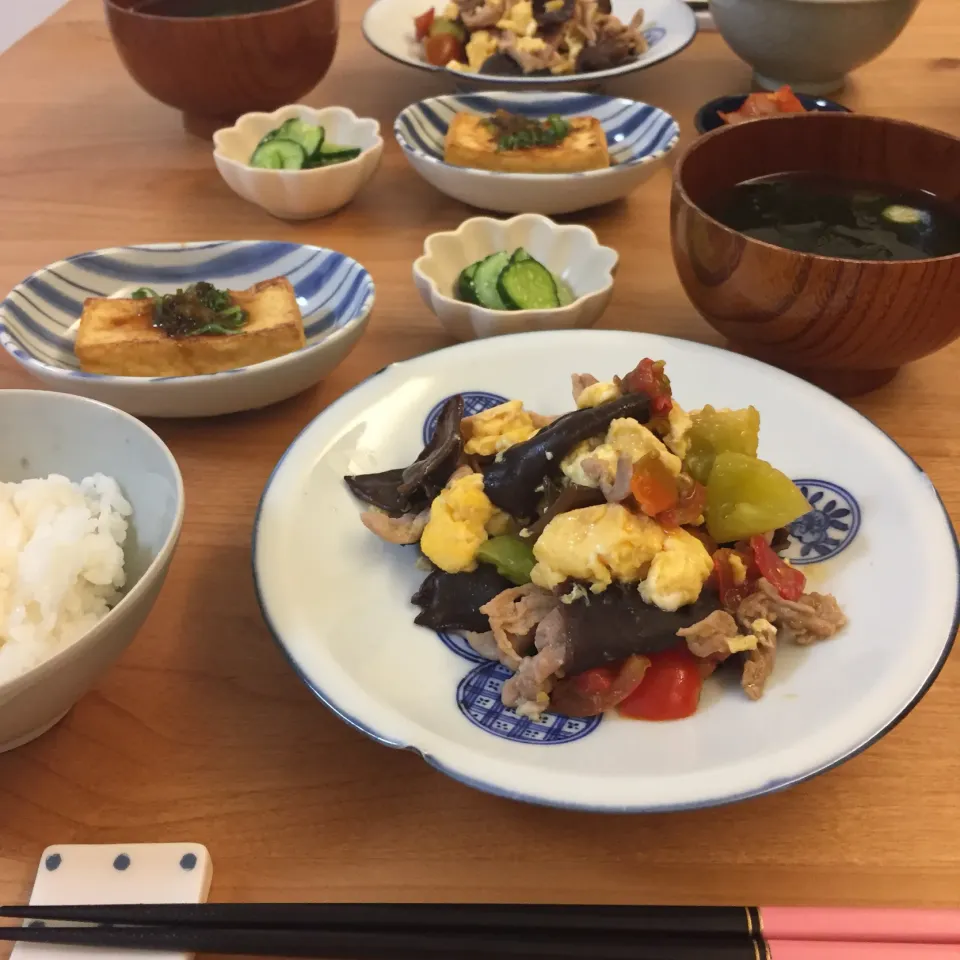 Snapdishの料理写真:今日の夜ごはん|non0619さん