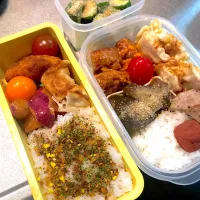 今日のお弁当|Emiko Ooshimaさん