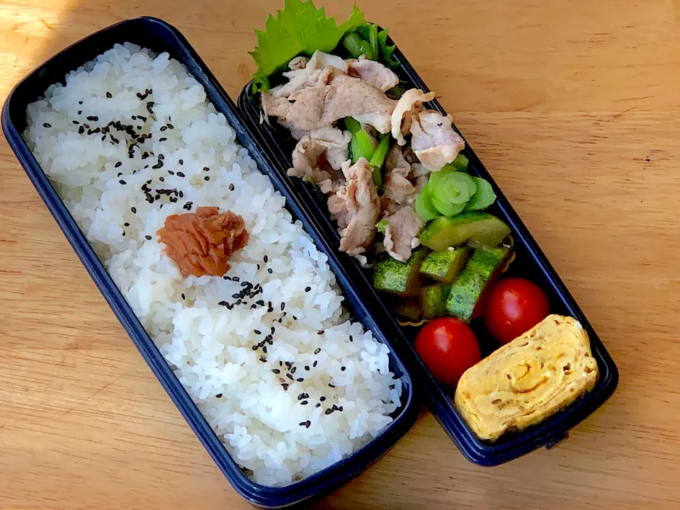 豚と小松菜のオイスターソース炒め 弁当|弁当 備忘録さん