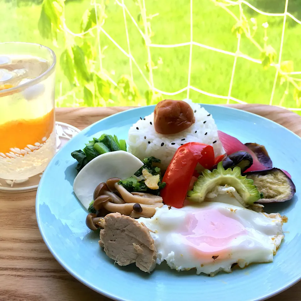 常備菜でお昼ごはん|むぎこさん