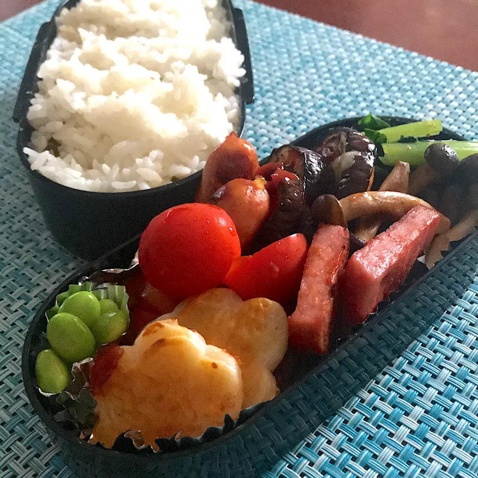 今日のお弁当🍱|mokoさん