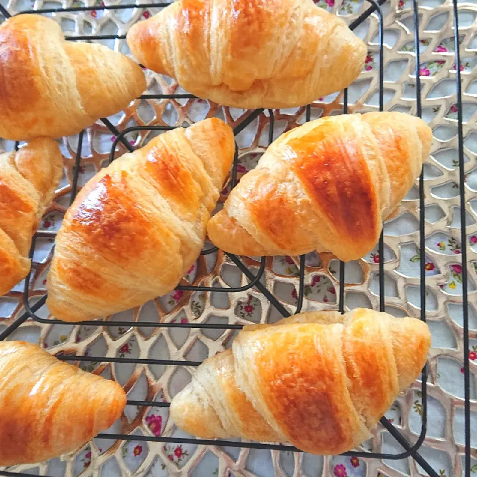 Snapdishの料理写真:サクサククロワッサン🥐|cocco+さん