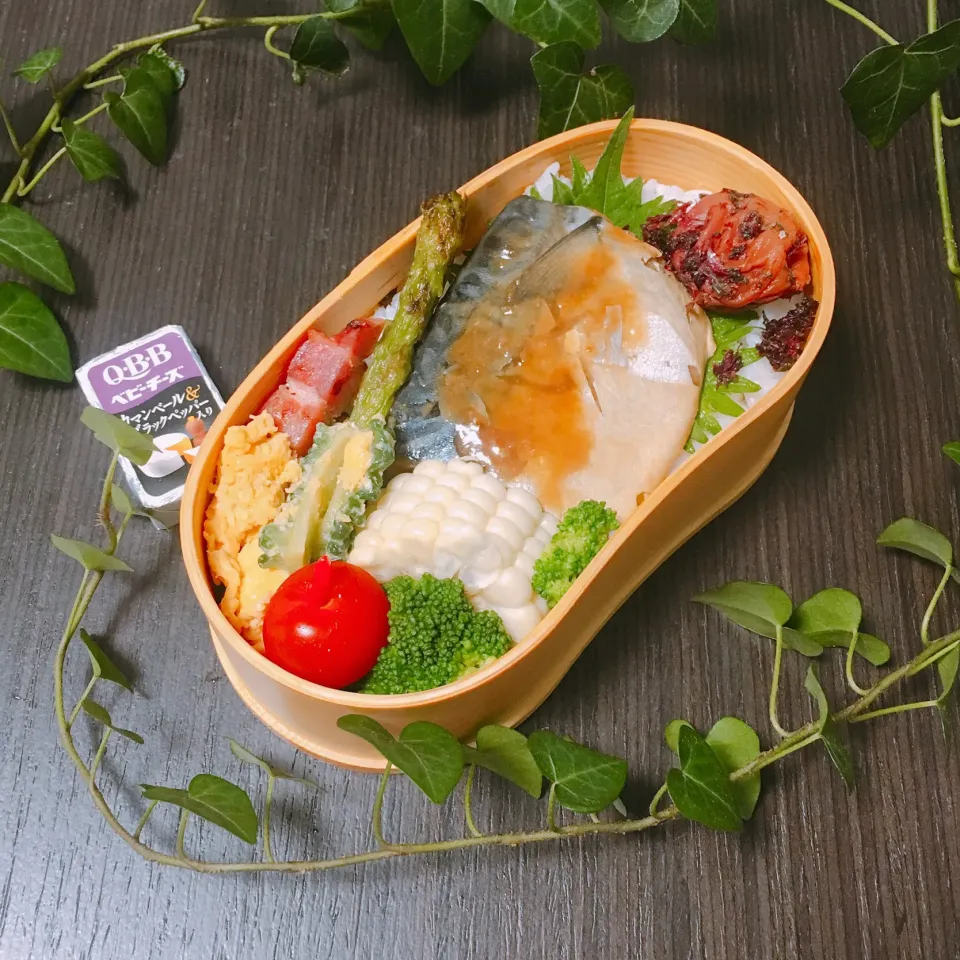 2019.8.9 today's  obento☆鯖の味噌煮|YummyKさん