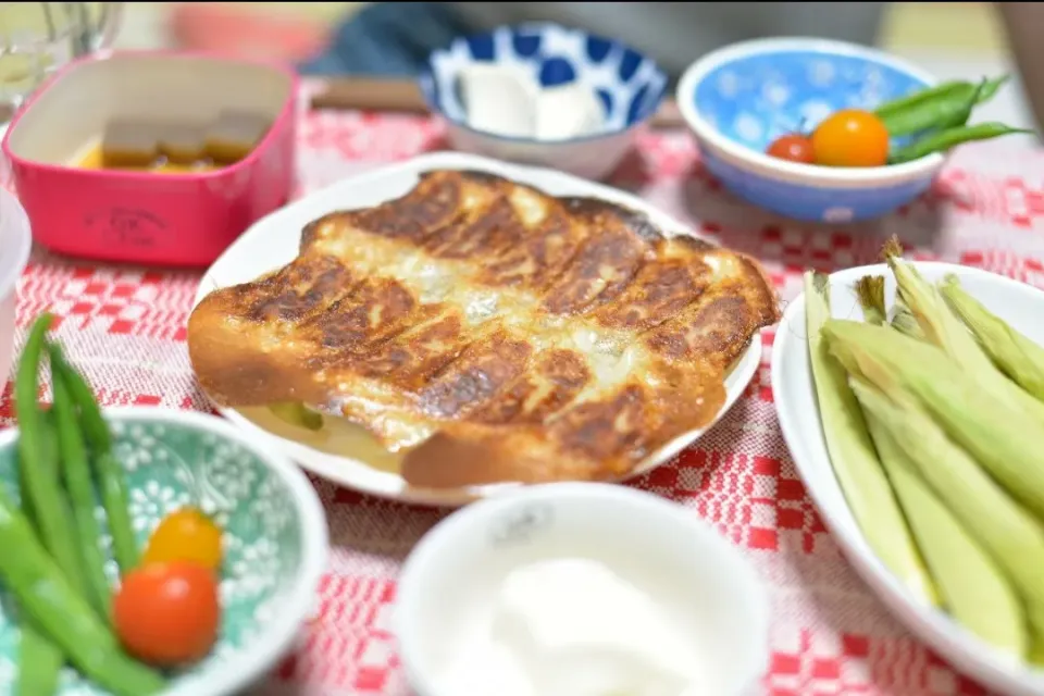 羽根つき餃子と夏野菜🌽🍅✨|さわ太郎さん