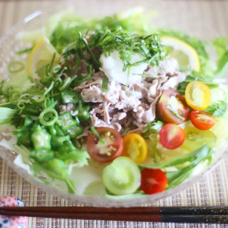 Snapdishの料理写真:野菜たっぷり！冷しゃぶうどん|ゆいか＊さくママさん