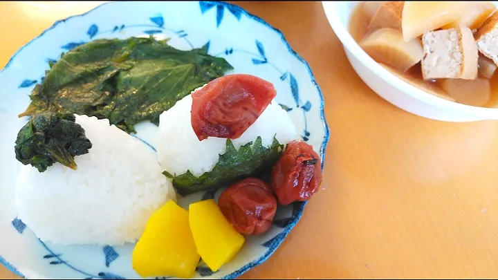 💕志村けんさんの青紫蘇の漬け物♡
おにぎりに入れたり巻いたり🍙
姉が漬けた梅干しも添えて💕|yuiママさん