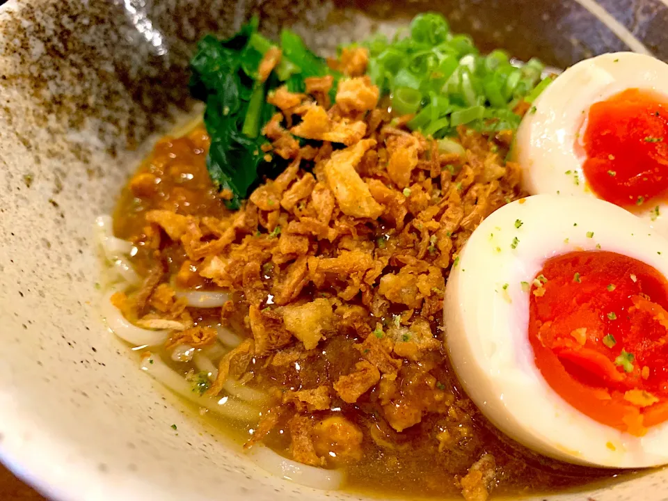 すだち鶏の冷し出汁キーマカレー2|半田手延べそうめんの店 阿波や壱兆さん