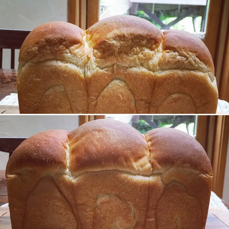 カンカンさんの料理 ホップ種で山食修行🍞🙌|カンカンさん