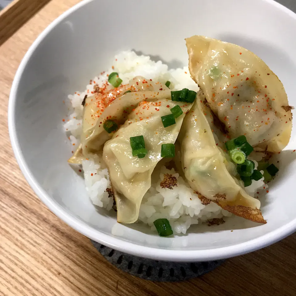 【ズボラご飯】包丁×！レンジだけで餃子丼|はなさん