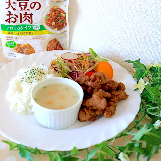 Snapdishの料理写真:大豆のお肉のから揚げ|yuu kingさん