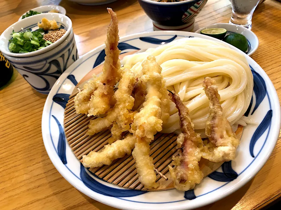 Snapdishの料理写真:いか天ざるうどんすだち付き、鶏飯セット🐔、日本酒冷や|buhizouさん