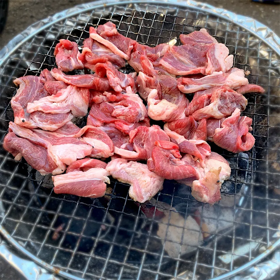 BBQ|コハクさん