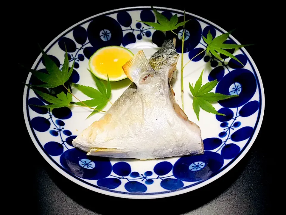 ヒラマサのカマ塩焼。夏が旬の高級魚だよ。（＾∇＾）|イチロッタさん