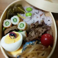 Snapdishの料理写真:曲げわっぱ弁当|みるるさん