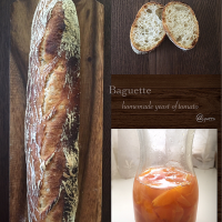 プチトマト酵母🍅 de バゲット