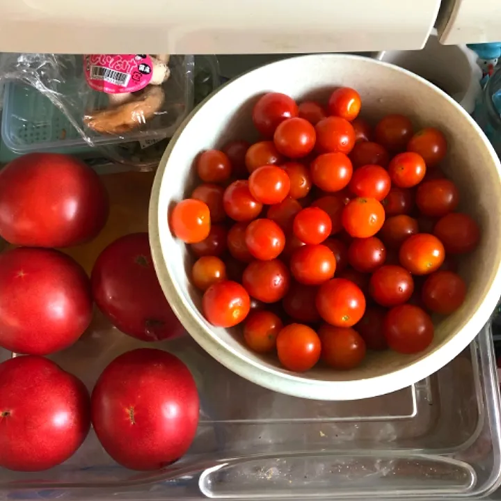 素　トマト🍅|ゆきのやどさん