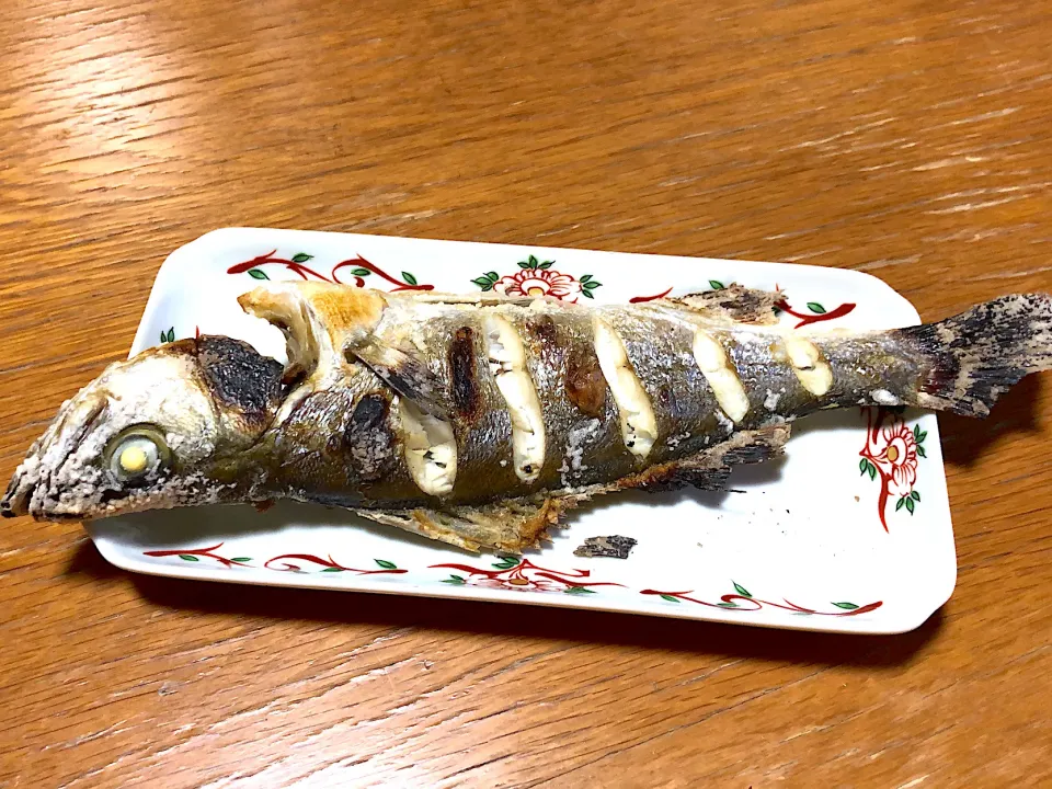 |リトルターン(釣った魚の料理垢)さん