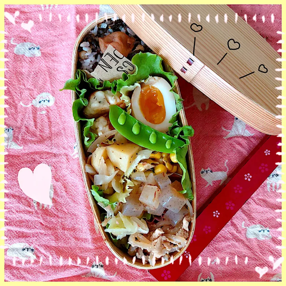 Snapdishの料理写真:８／２０ ｔｕｅ エビとササミのチーズまるめ焼き弁当🍴|rinaronarさん