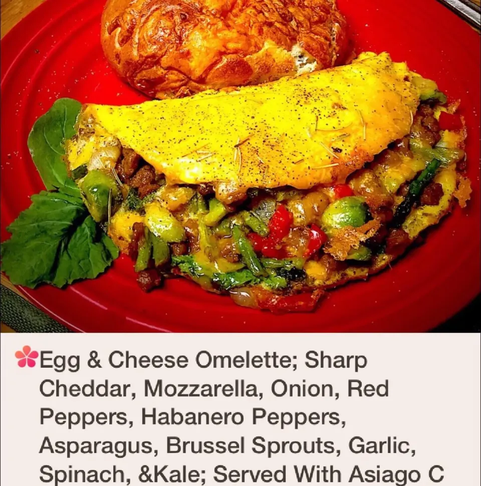 Michaels Culinary Adventures's dish Egg & Cheese Omelette; Sharp Cheddar, Mozzarella, Onion, Red Peppers, Habanero Peppers, Asparagus, Brussel Sprouts, Garlic, |Michaels Culinary Adventuresさん