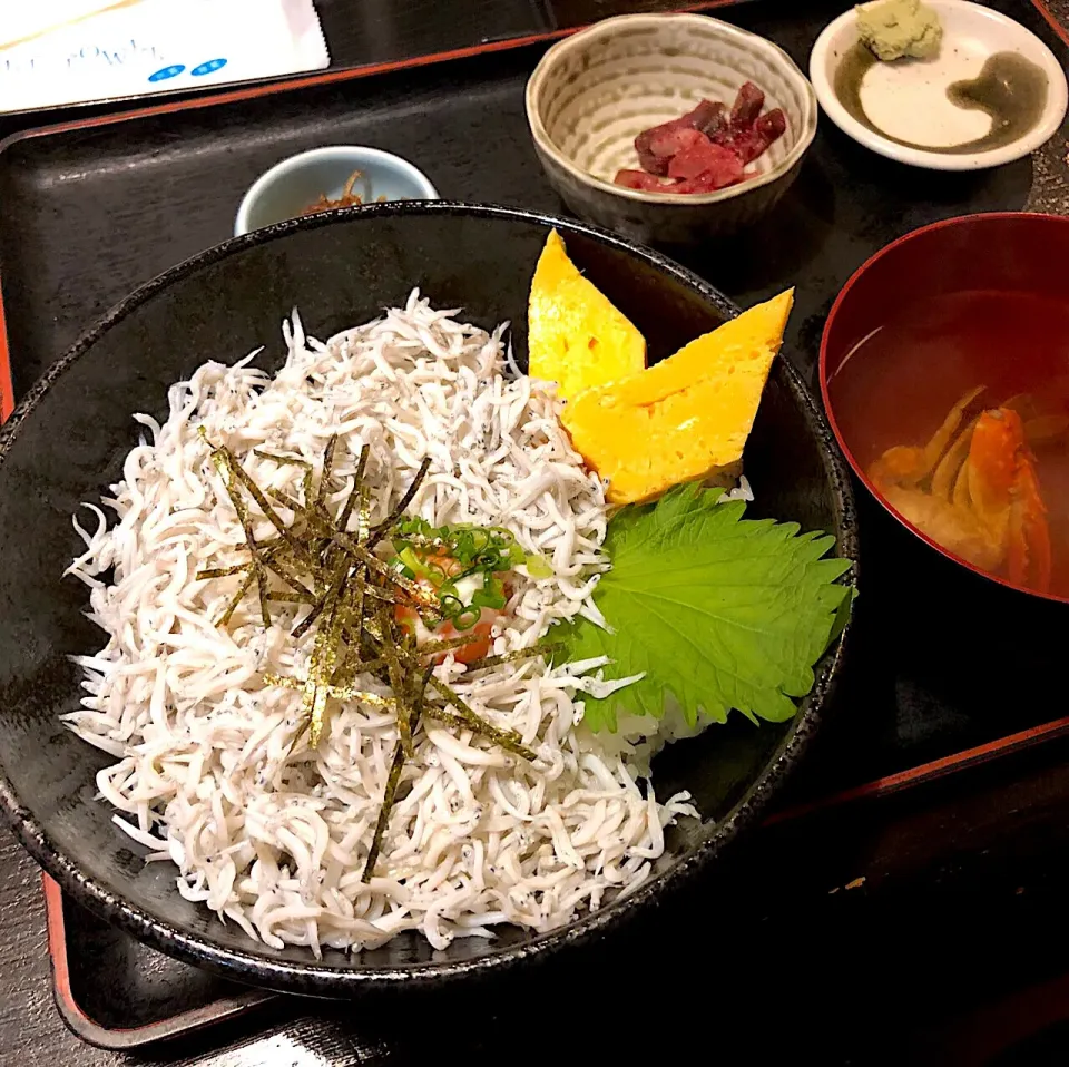 釜揚げしらす丼 @大洗海鮮市場|いしくん。（たまご王子🥚🐣🐥🐔）さん