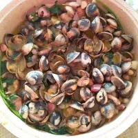 Snapdishの料理写真:Berbigões
Cockles shellfish|Tânia Marçalさん