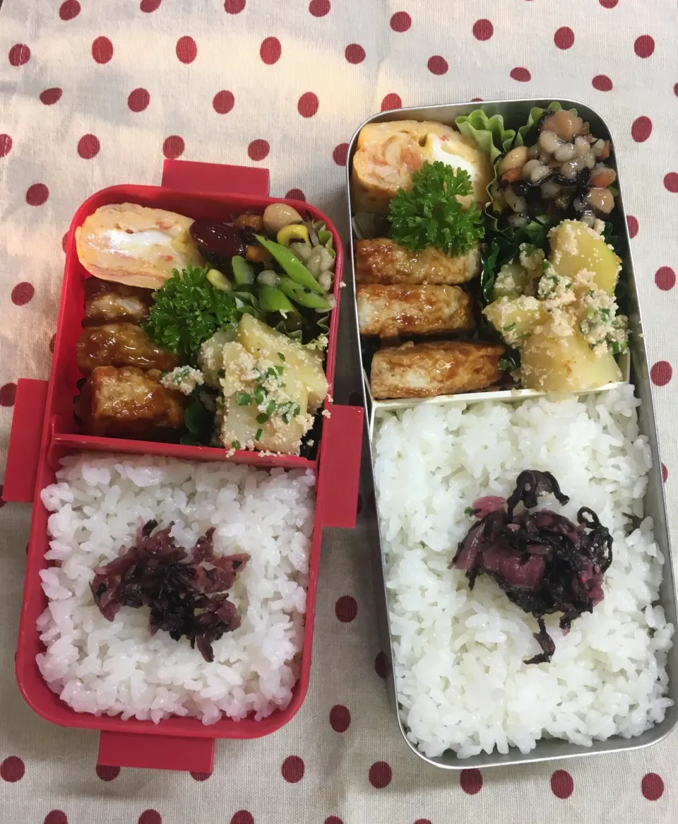 Snapdishの料理写真:8月21日 週の中日弁当🍱|sakuramochiさん