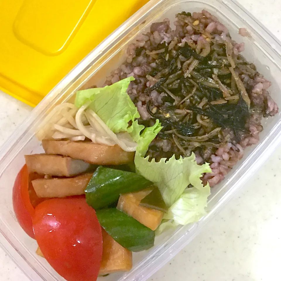 Today's lunch box|hoppycowさん