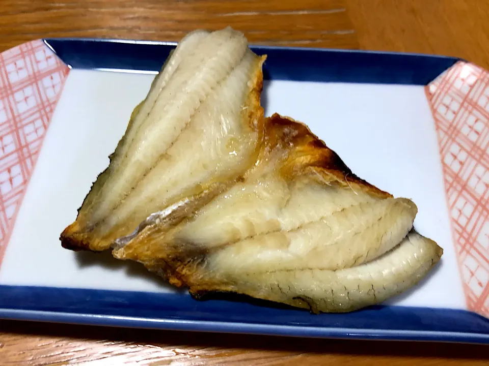 釣ったスズキの干物|リトルターン(釣った魚の料理垢)さん