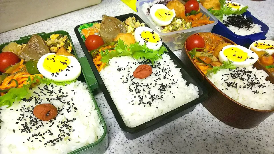 6人分弁当🍱|かねしろ食堂さん