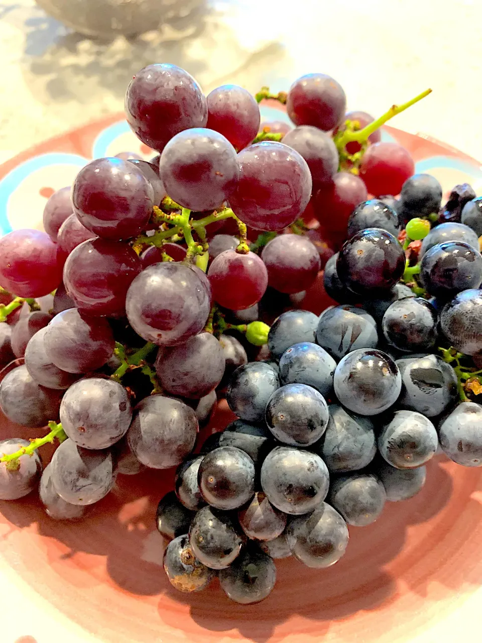 Snapdishの料理写真:Sweet grapes from our small vineyard in California🍇|🌺IAnneさん