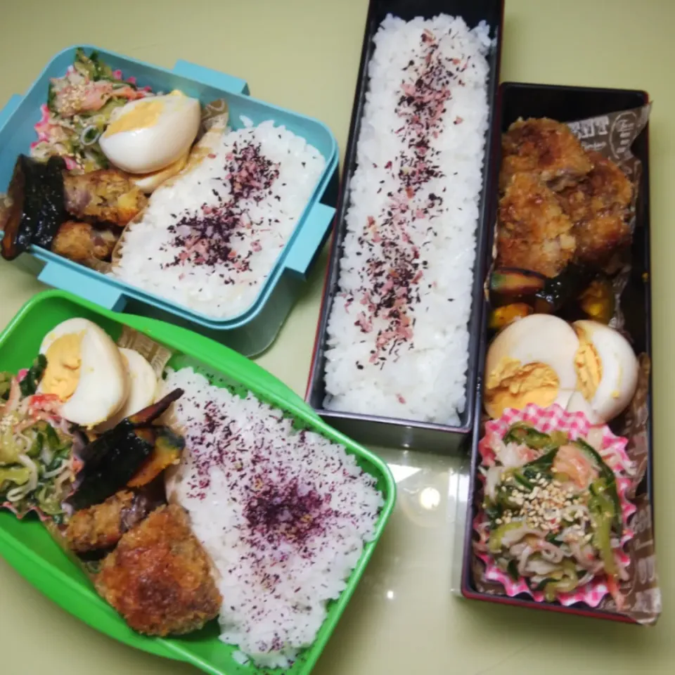 Snapdishの料理写真:8/23家族弁当|けろよんさん