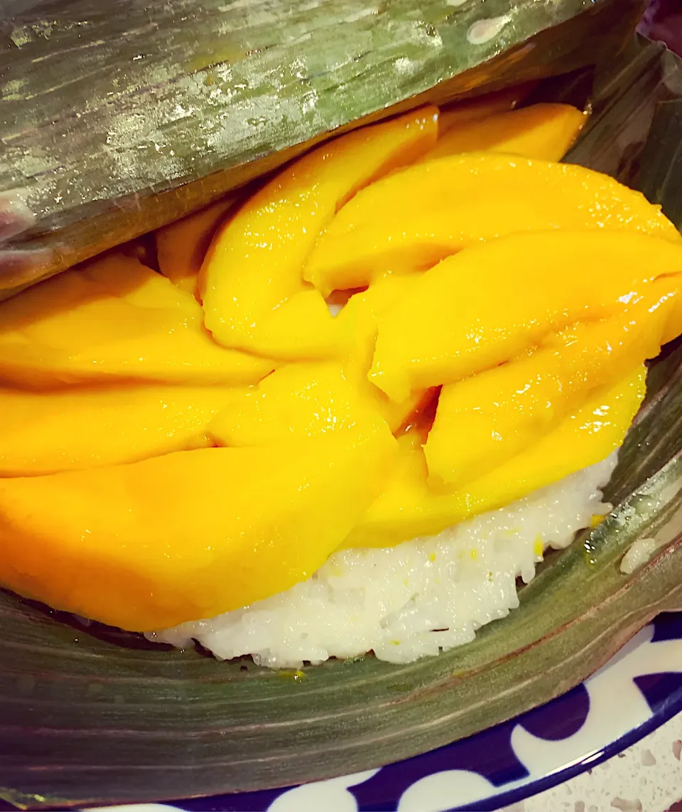 Snapdishの料理写真:Homemade Thai sticky rice🍚 topped with sweet mangoes🥭 #stickyrice|🌺IAnneさん