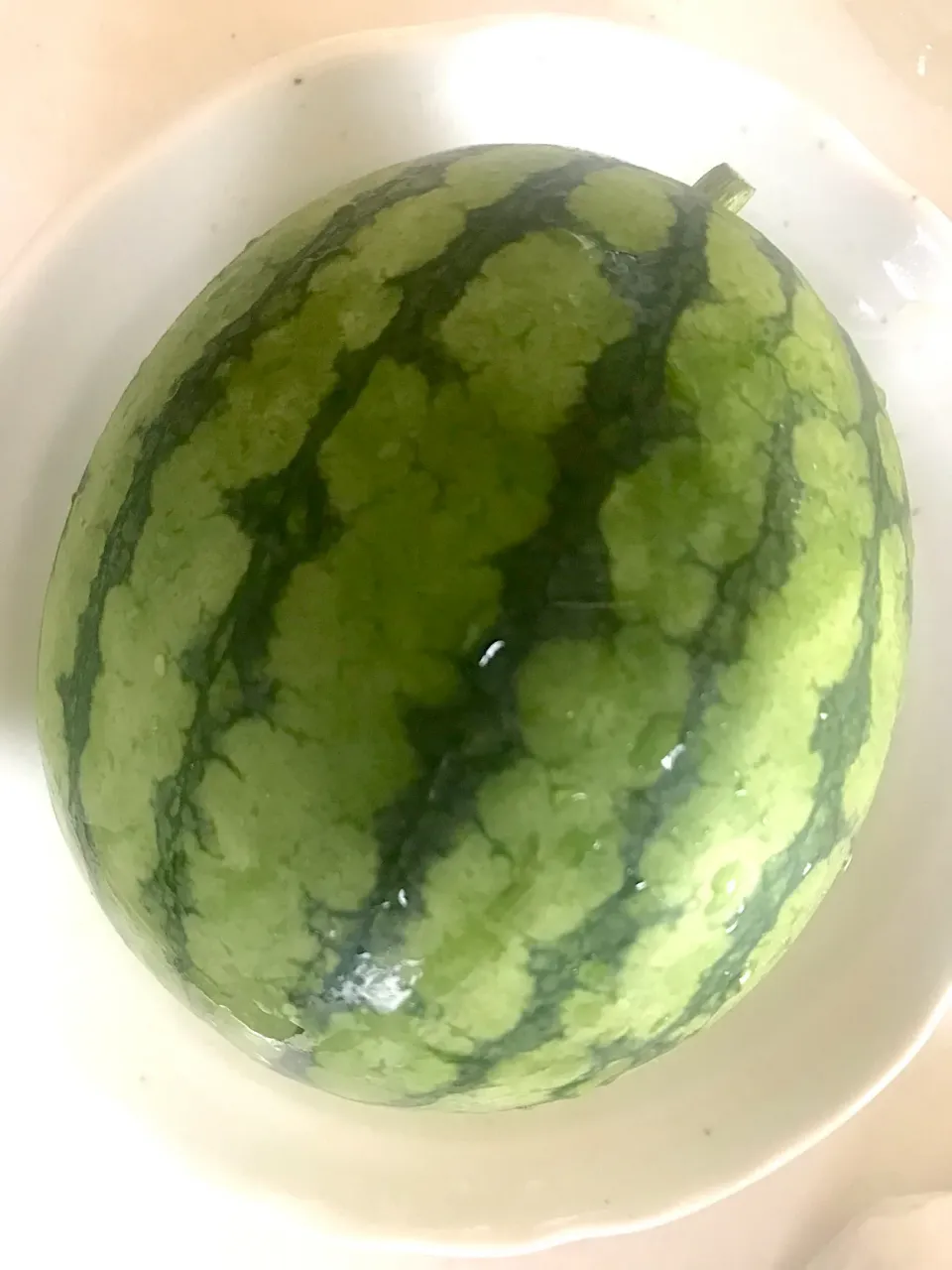 スイカ🍉獲れたて|みうのすけさん