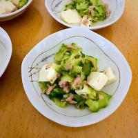 ゴーヤとモッツァレラとツナのサラダ