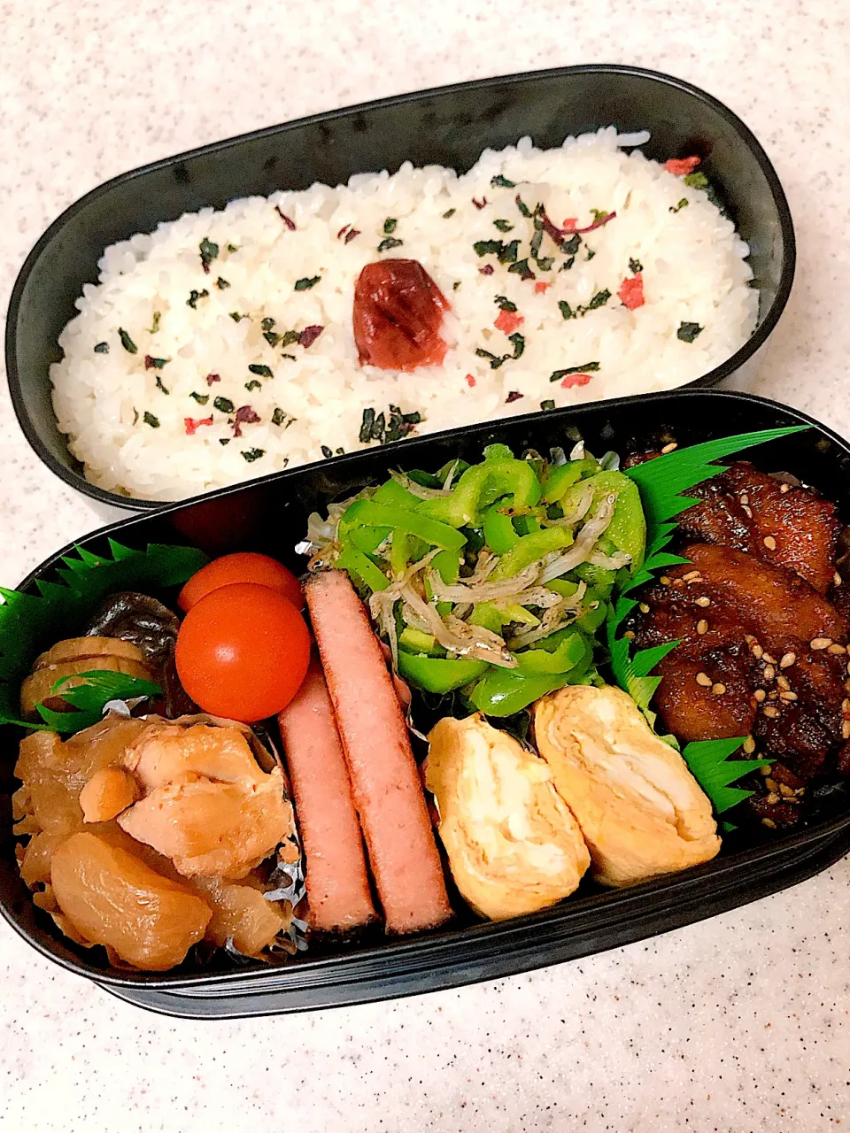 毎日弁当🍱|tontonmaruさん