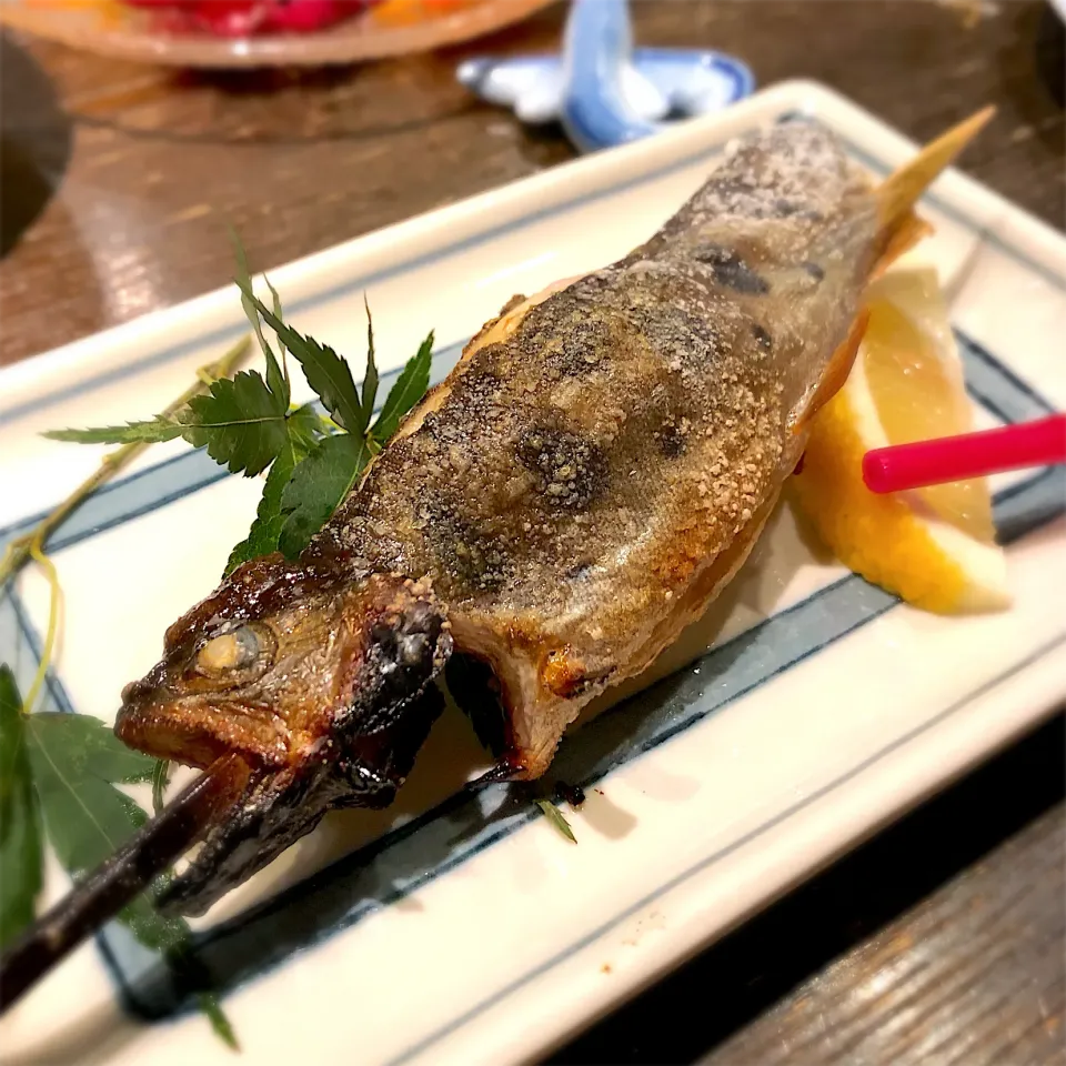 山女魚の塩焼き|keroさん