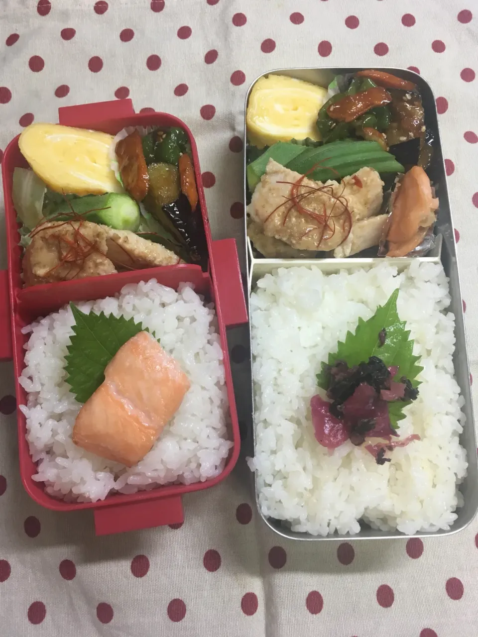 Snapdishの料理写真:8月26日 8月最終週弁当🍱|sakuramochiさん