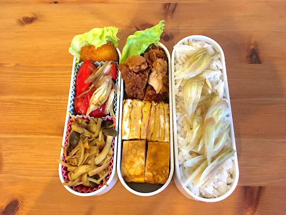 茗荷ご飯弁当|Emi Mikadoさん