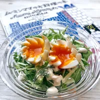 【ムーミンママのサラダ菜サラダ】を水菜で🇫🇮