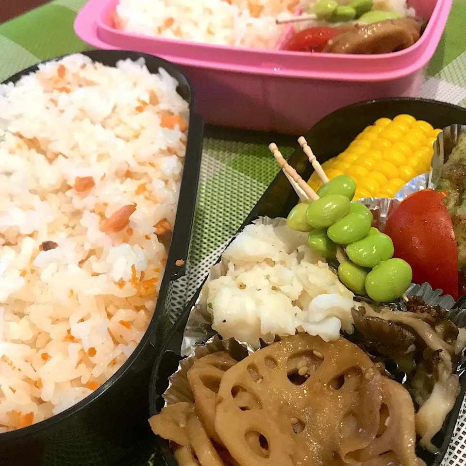 今日のお弁当🍱|mokoさん