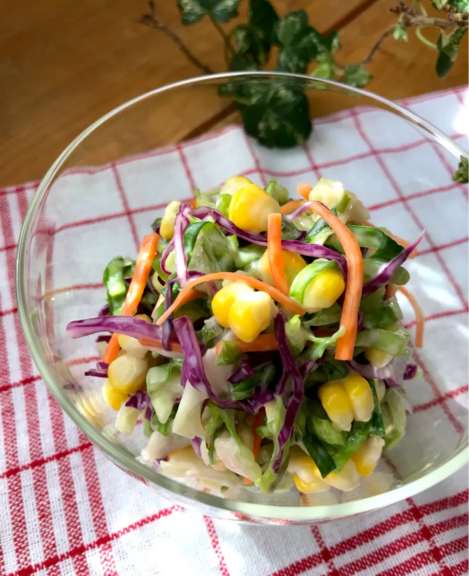 🥗今日のランチのサラダは2色のキャベツでコールスローサラダ🥗|Hollyさん